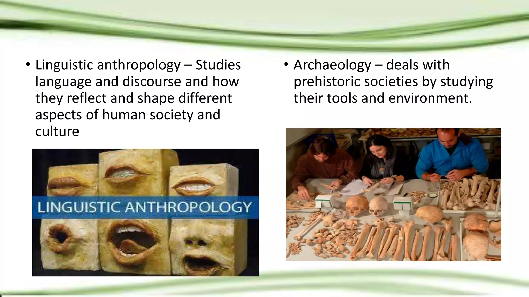 • Linguistic anthropology – Studies
language and discourse and how
they reflect and shape different
aspects of human society and
culture
• Archaeology – deals with
prehistoric societies by studying
their tools and environment.
 