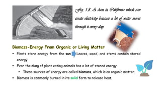 Fig. 1.8. A dam in California which can
create electricity because a lot of water moves
through it every day.
 Plants store energy from the sun Leaves, wood, and stems contain stored
energy.
 Even the dung of plant eating animals has a lot of stored energy.
 These sources of energy are called biomass, which is an organic matter.
 Biomass is commonly burned in its solid form to release heat.
 