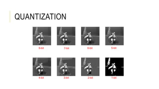 QUANTIZATION
8-bit 7-bit 6-bit 5-bit
4-bit 3-bit 2-bit 1-bit
 