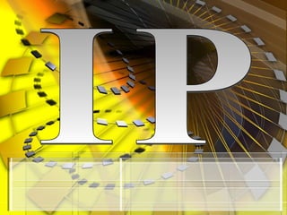 IP 