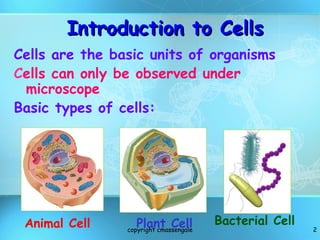 Brief overview of cell-structure for grade seven | PPT