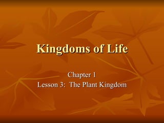 Kingdoms of Life Chapter 1 Lesson 3:  The Plant Kingdom 