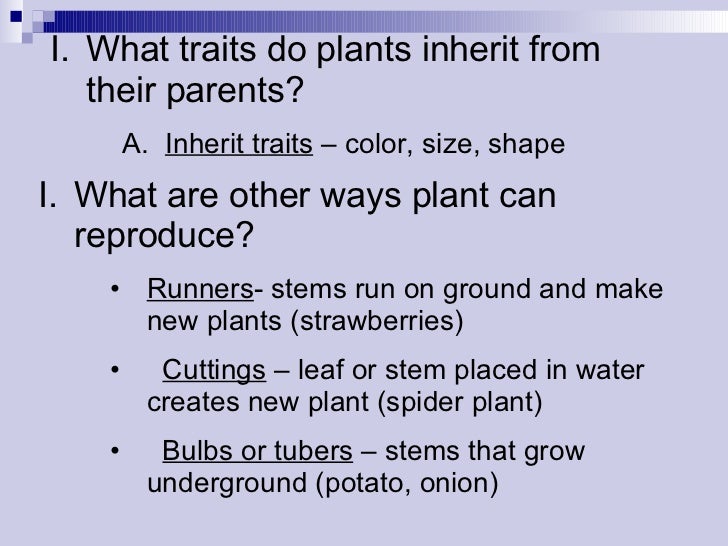 Chapter 1 Lesson 4 Plant Reproduction