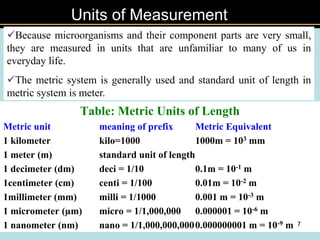 Unit In Meter C | PPT