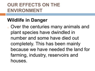 OUR EFFECTS ON THE
ENVIRONMENT
Wildlife in Danger
o Over the centuries many animals and
plant species have dwindled in
number and some have died out
completely. This has been mainly
because we have needed the land for
farming, industry, reservoirs and
houses.
 