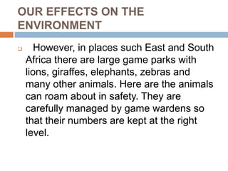 OUR EFFECTS ON THE
ENVIRONMENT
 However, in places such East and South
Africa there are large game parks with
lions, giraffes, elephants, zebras and
many other animals. Here are the animals
can roam about in safety. They are
carefully managed by game wardens so
that their numbers are kept at the right
level.
 