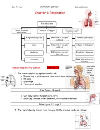 Science Form 3 note                      SMART STUDY - GOOD LUCK                          Teacher zaidi@maher2010


                                Chapter 1: Respiration


                                         Respiration

     Human Breathing                   Transport of oxygen                 Importance of a healthy
                                                                             respiratory system
       Mechanism

                      Respiratory system               Diffusion of oxygen                    Harmful substances
                                                            by blood

                            lungs                      Transport of oxygen                   Effects of pollutants
                                                            by blood

                          inhalation                   Diffusion of oxygen                   Respiratory diseases.
                                                             into cell

                          exhalation                                                         Good habit to improve
                                                                                                  air quality.


Human Respiratory system                          PMR 03, 08

     1. The human respiratory system consists of:
          a. Respiratory organs (nasal cavity, trachea, bronchi, lung and breathing channel)
          b. Rib cage
          c. Diaphragm
          d. Intercostal muscles

                                        Draw figure 1.1 page 2

                e. Our body has two lungs (right & left).
                f. Each lung consists of the bronchus, bronchioles and alveoli.

                                       Draw figure 1.2 page 2

     2. The route taken by the air from the nose till the alveolus can be as follows:
 