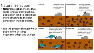 Chapter-1-The-Rise-of-Evolutionary-Biology-1.pptx