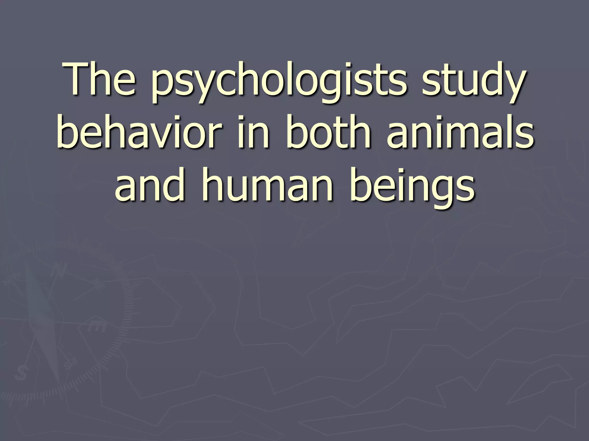 The psychologists study
behavior in both animals
and human beings
 