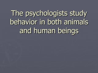 The psychologists study behavior in both animals and human beings   
