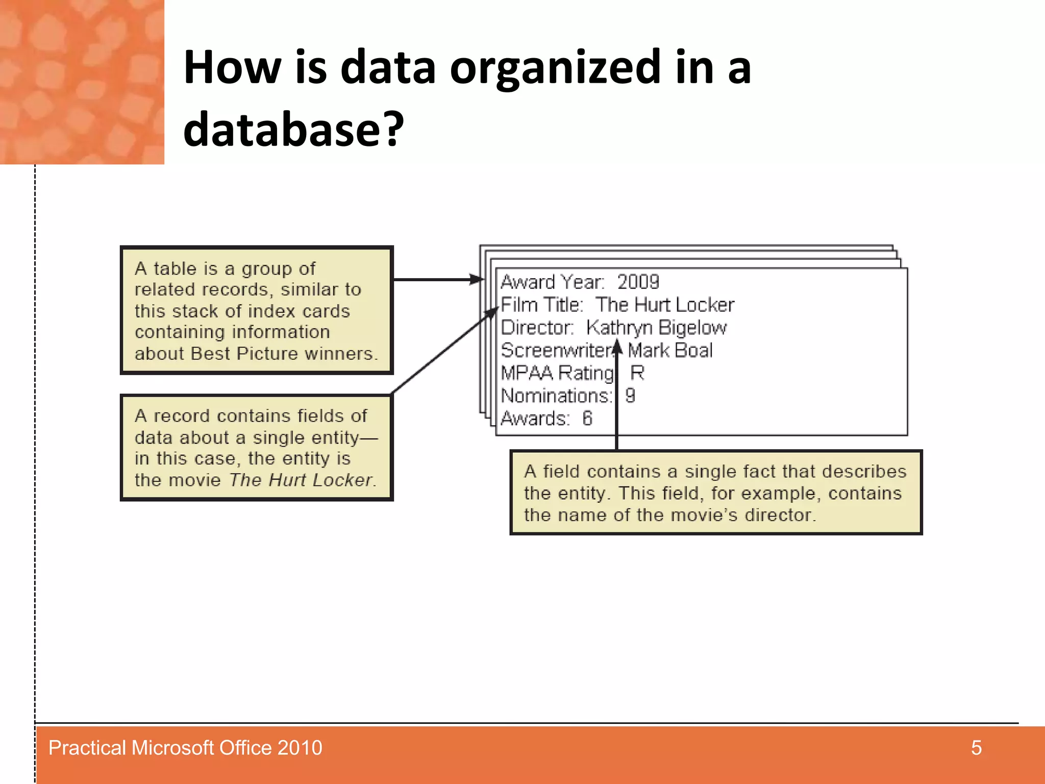 How is data organized in a database?5Practical Microsoft Office 2010