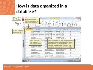 How is data organized in a database?7Practical Microsoft Office 2010