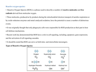 Reactive Oxygen Species,Reactive Nitrogen Species and Redox Signaling ...