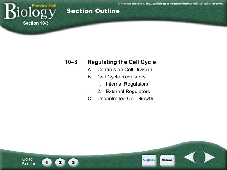 Printables Section 10-2 Cell Division Worksheet Answers section 10 2 cell division worksheet answers davezan chapter cycle