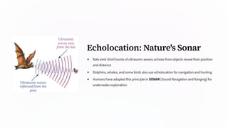 Echolocation: Nature's Sonar
Bats emit short bursts of ultrasonic waves; echoes from objects reveal their position
and distance
Dolphins, whales, and some birds also use echolocation for navigation and hunting
Humans have adapted this principle in SONAR (Sound Navigation and Ranging) for
underwater exploration
 