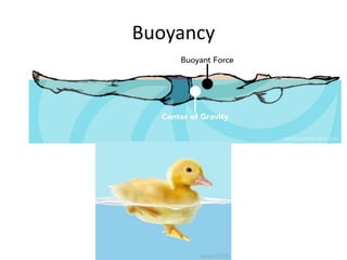 Buoyancy
 