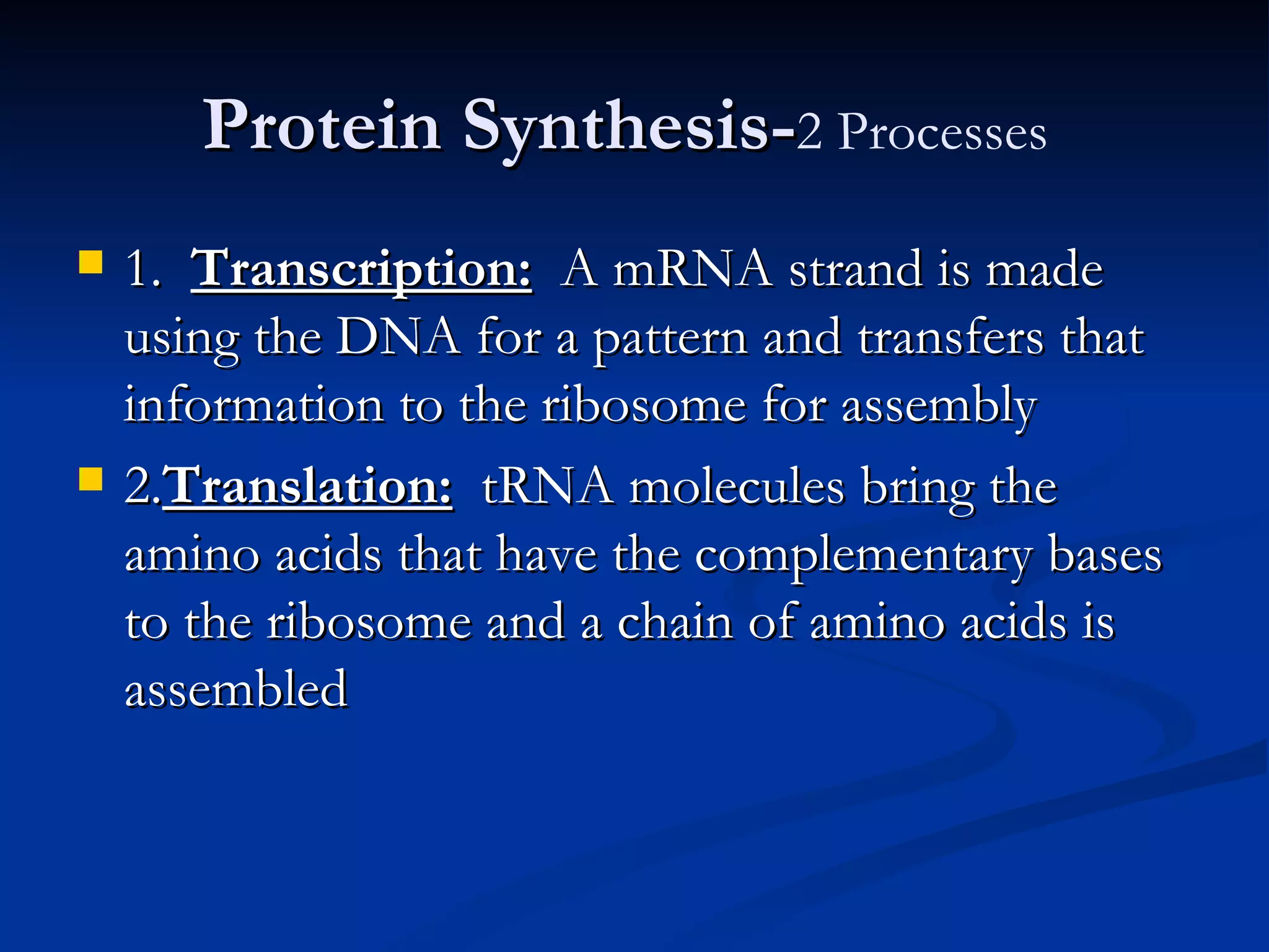Protein Synthesis- 2 Processes   1.  Transcription:   A mRNA strand is made using the DNA for a pattern and transfers that information to the ribosome for assembly 2. Translation:   tRNA molecules bring the amino acids that have the complementary bases to the ribosome and a chain of amino acids is assembled 