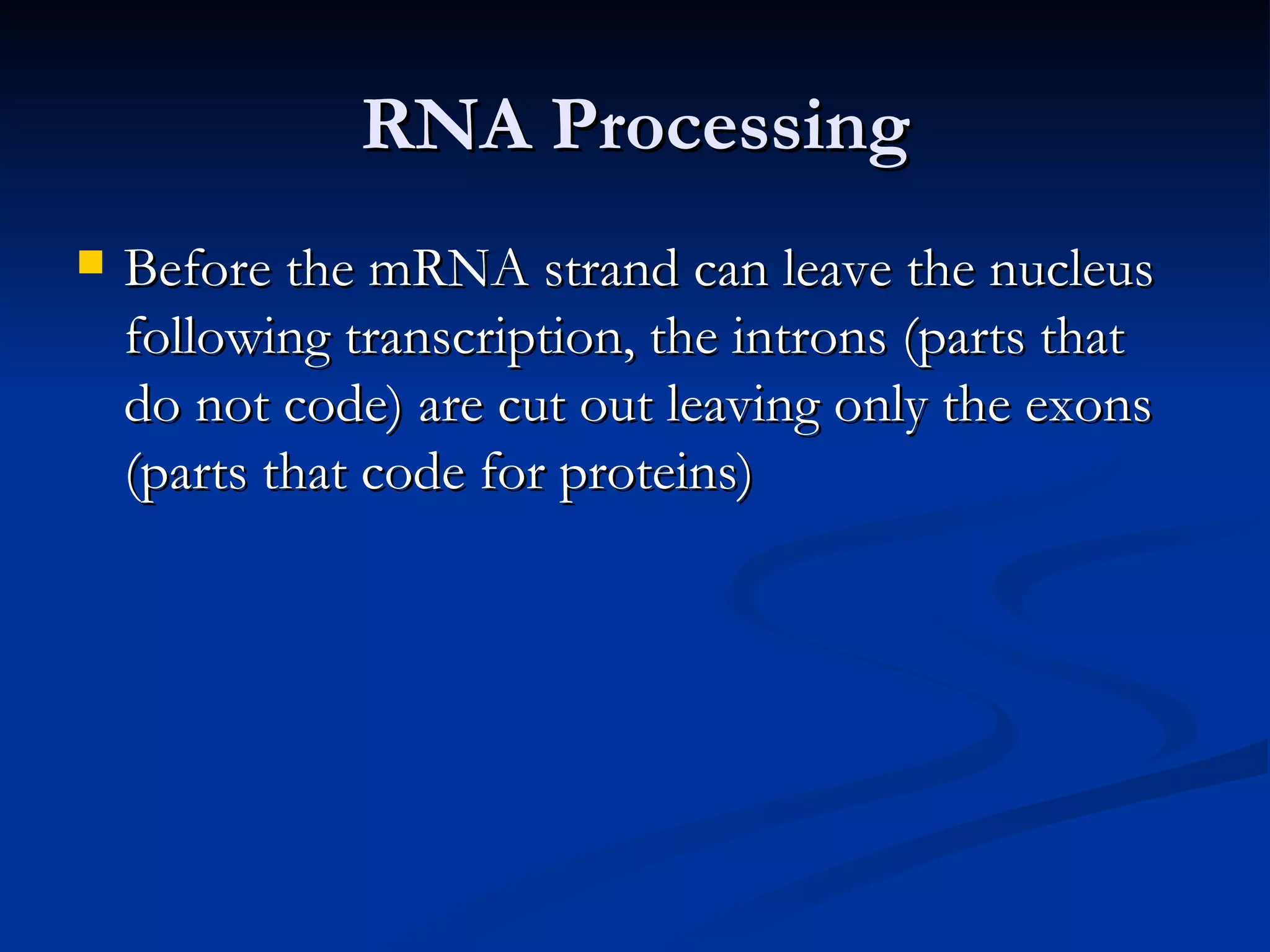 RNA Processing Before the mRNA strand can leave the nucleus following transcription, the introns (parts that do not code) are cut out leaving only the exons (parts that code for proteins) 
