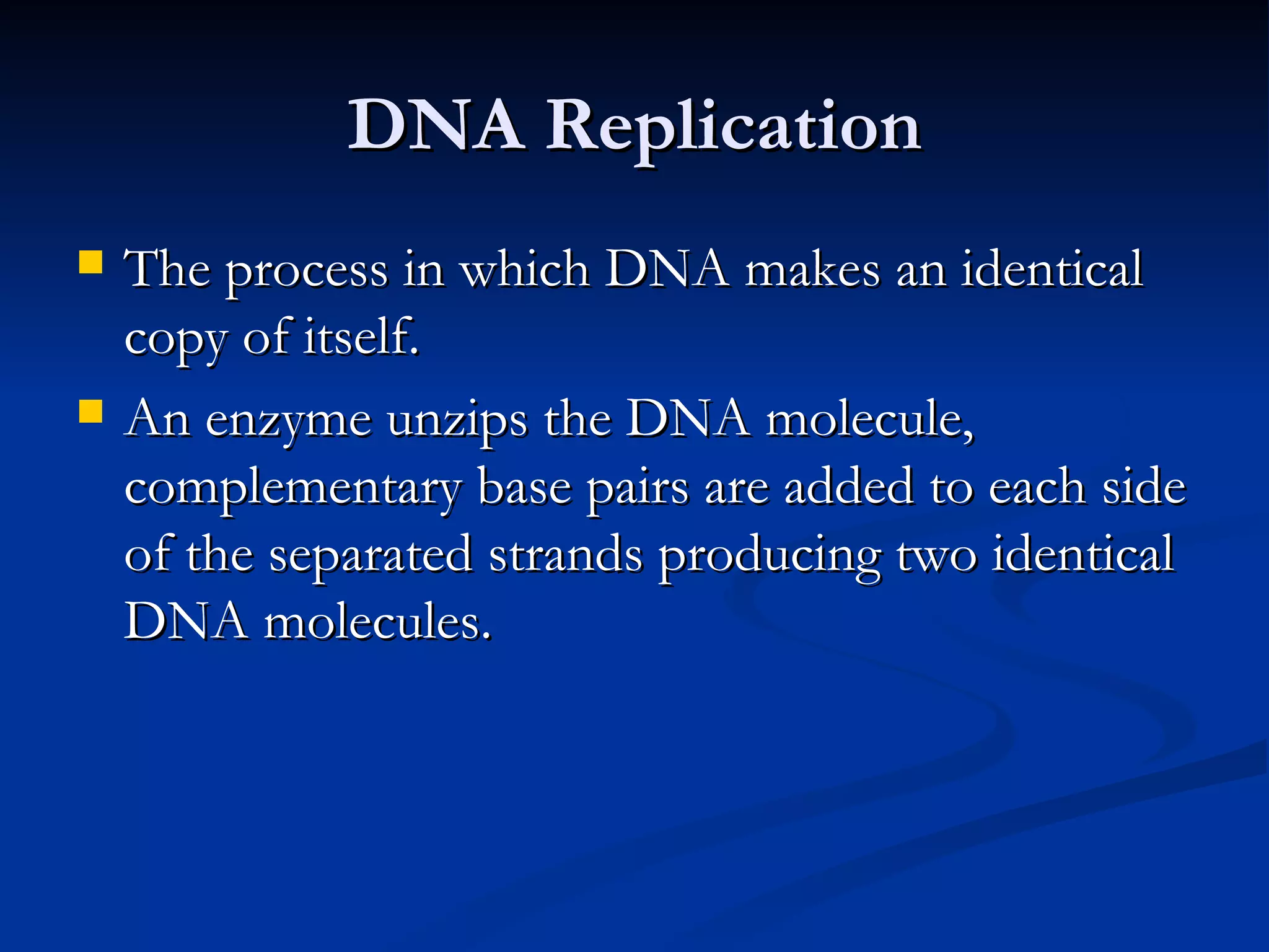 DNA Replication The process in which DNA makes an identical copy of itself. An enzyme unzips the DNA molecule, complementary base pairs are added to each side of the separated strands producing two identical DNA molecules. 