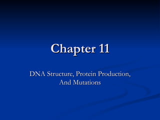 Chapter 11 DNA Structure, Protein Production, And Mutations 