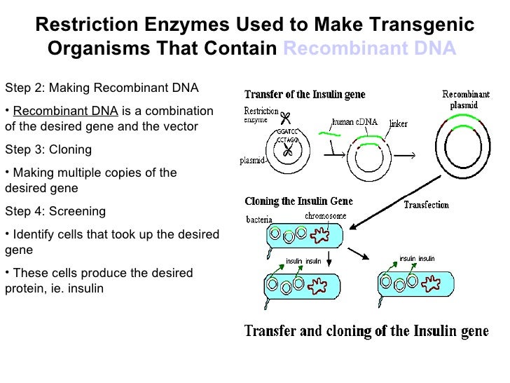 Chapter 11 Biotechnology