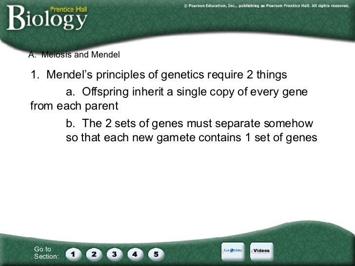 section 11 5 linkage and gene maps answers Chapter 11 Introduction To Genetics