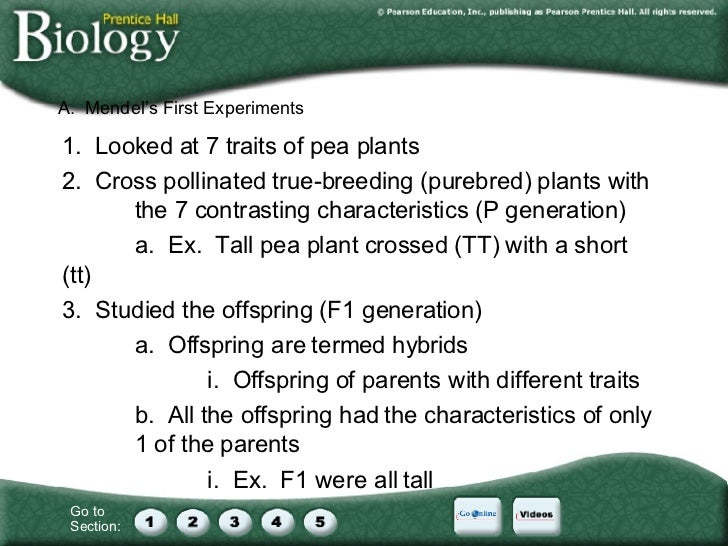 Chapter 11 Introduction To Genetics