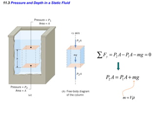 11.3  Pressure and Depth in a Static Fluid 