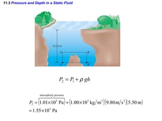 11.3  Pressure and Depth in a Static Fluid 