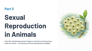 Part 3
Sexual
Reproduction
in Animals
From fish releasing thousands of eggs to mammals nurturing young
inside the womb — the diversity of animal reproduction strategies.
 