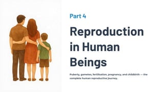 Part 4
Reproduction
in Human
Beings
Puberty, gametes, fertilisation, pregnancy, and childbirth — the
complete human reproductive journey.
 