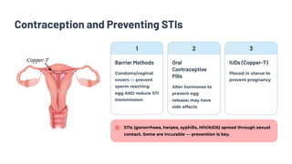 Contraception and Preventing STIs
1
Barrier Methods
Condoms/vaginal
covers — prevent
sperm reaching
egg AND reduce STI
transmission
2
Oral
Contraceptive
Pills
Alter hormones to
prevent egg
release; may have
side effects
3
IUDs (Copper-T)
Placed in uterus to
prevent pregnancy
STIs (gonorrhoea, herpes, syphilis, HIV/AIDS) spread through sexual
contact. Some are incurable — prevention is key.
 