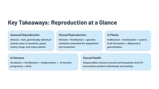 Key Takeaways: Reproduction at a Glance
Asexual Reproduction
Mitosis → fast, genetically identical
clones; seen in bacteria, yeast,
hydra, fungi, and many plants
Sexual Reproduction
Meiosis + fertilisation → genetic
variation; essential for adaptation
and evolution
In Plants
Pollination → fertilisation → seed &
fruit formation → dispersal &
germination
In Humans
Ovulation → fertilisation → implantation → ~9 months
pregnancy → birth
Sexual Health
Responsible choices around contraception and STI
prevention protect individuals and society
 