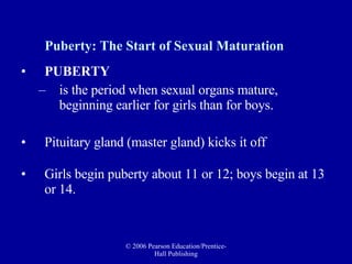 Puberty: The Start of Sexual Maturation PUBERTY  is the period when sexual organs mature, beginning earlier for girls than for boys.  Pituitary gland (master gland) kicks it off Girls begin puberty about 11 or 12; boys begin at 13 or 14.  