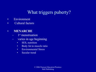 What triggers puberty?   Environment Cultural factors  MENARCHE 1 st  menstruation varies in age beginning SES, nutrition Body fat to muscle ratio Environmental Stress Secular trend  