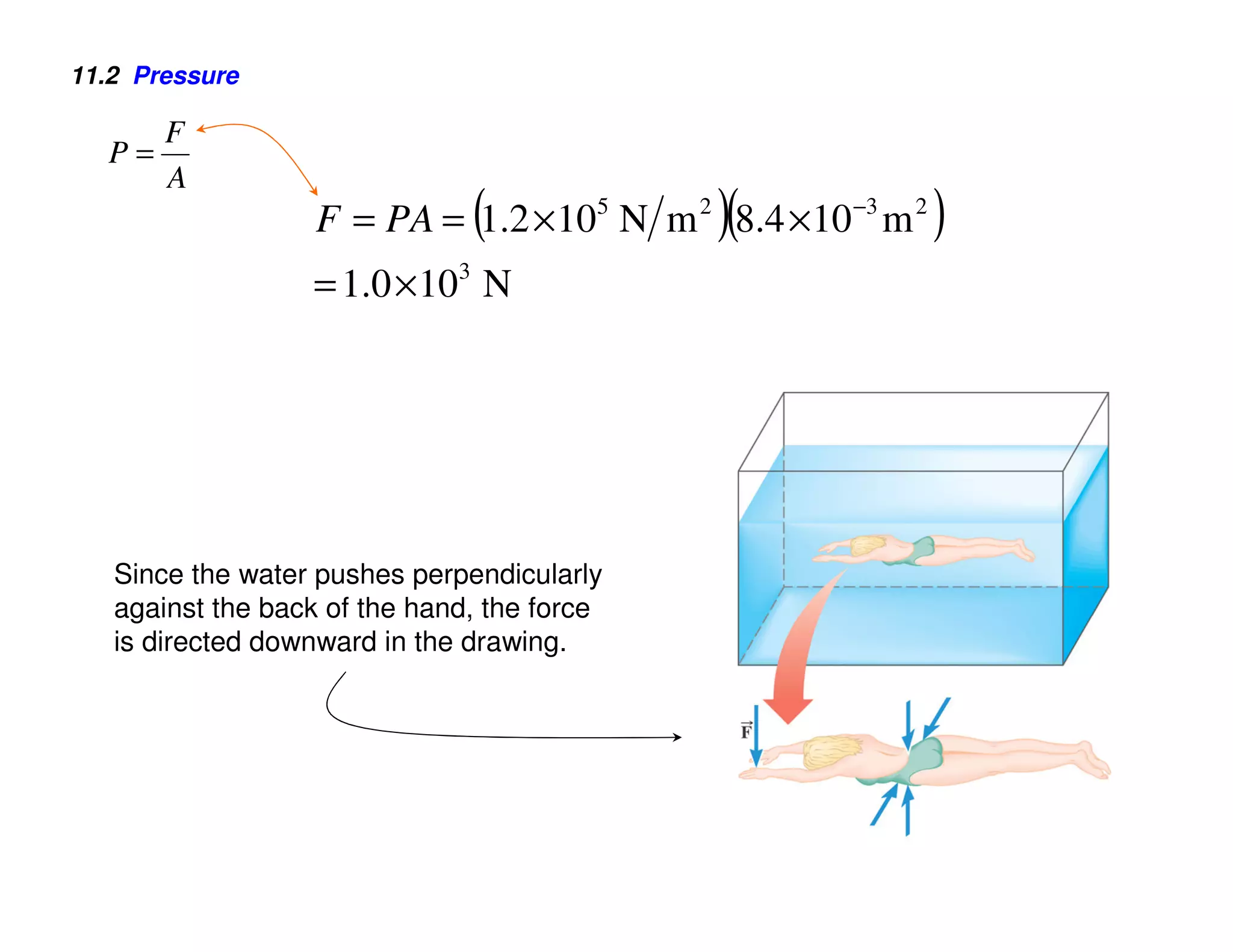 11.2 Pressure

     F
  P=
     A
                               (             )(
                   F = PA = 1.2 × 105 N m 2 8.4 ×10 −3 m 2   )
                  = 1.0 × 103 N




   Since the water pushes perpendicularly
   against the back of the hand, the force
   is directed downward in the drawing.
 