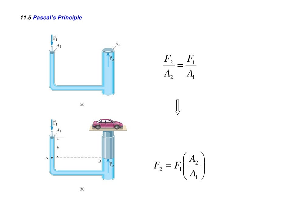 Chapter 11 fluids vic