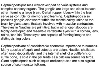 Cephalopods possess well-developed nervous systems and complex sensory organs. The ganglia are large and close to each other, forming a large brain. Certain upper lobes within the brain serve as controls for memory and learning. Cephalopods also possess ganglia elsewhere within the mantle cavity linked to the brain by giant axons that are involved with muscular contraction. The eyes in Nautilus are primitive, but in other cephalopods are highly developed and resemble vertebrate eyes with a cornea, lens, retina, and iris. These eyes are capable of forming images and distinguishing colors. Cephalopods are of considerable economic importance to humans. Many species of squid and octopus are eaten. Nautilus shells are often used decoratively, and the internal shell of a cuttlefish, or cuttle bone, is sold in the pet trade as a calcium source for birds. Giant cephalopods such as squid and octopuses are also a great source of sea-monster folklore. 