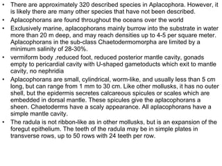 There are approximately 320 described species in Aplacophora. However, it is likely there are many other species that have not been described.  Aplacophorans are found throughout the oceans over the world  Exclusively marine, aplacophorans mainly burrow into the substrate in water more than 20 m deep, and may reach densities up to 4-5 per square meter. Aplacophorans in the sub-class Chaetodermomorpha are limited by a minimum salinity of 28-30%.  vermiform body ,reduced foot, reduced posterior mantle cavity, gonads empty to pericardial cavity with U-shaped gametoducts which exit to mantle cavity, no nephridia  Aplacophorans are small, cylindrical, worm-like, and usually less than 5 cm long, but can range from 1 mm to 30 cm. Like other mollusks, it has no outer shell, but the epidermis secretes calcareous spicules or scales which are embedded in dorsal mantle. These spicules give the aplacophorans a sheen. Chaetoderms have a scaly appearance. All aplacophorans have a simple mantle cavity. The radula is not ribbon-like as in other mollusks, but is an expansion of the foregut epithelium. The teeth of the radula may be in simple plates in transverse rows, up to 50 rows with 24 teeth per row.  