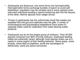 Gastropods are dioecious, and some forms are hermaphroditic. Hermaphroditic forms exchange bundles of sperm to avoid self-fertilization; copulation may be complex and in some species ends with each individual sending a sperm-containing dart into the tissues of the other. Marine species have veliger larvae. Torsion in gastropods has the unfortunate result that wastes are expelled from the gut and nephridia near the gills. A variety of morphological and physiological adaptations have arisen to separate water used for respiration from water bearing waste products. Gastropods are by far the largest group of molluscs. Their 40,000 species comprise over 80% of living molluscs. Gastropod feeding habits are extremely varied, although most species make use of a radula in some aspect of their feeding behavior. Some graze, some browse, some feed on plankton, some are scavengers or detritivores, some are active carnivores. 