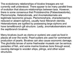The evolutionary relationships of bivalve lineages are not currently well understood. There appear to be many parallel lin...