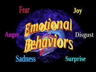 Fear Anger Sadness Joy Disgust Surprise Emotional Behaviors 