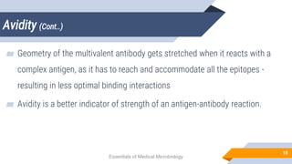 Avidity (Cont..)
10
▰ Geometry of the multivalent antibody gets stretched when it reacts with a
complex antigen, as it has to reach and accommodate all the epitopes -
resulting in less optimal binding interactions
▰ Avidity is a better indicator of strength of an antigen-antibody reaction.
Essentials of Medical Microbiology
 