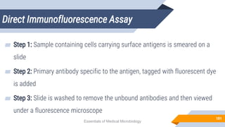 Direct Immunofluorescence Assay
101
▰ Step 1: Sample containing cells carrying surface antigens is smeared on a
slide
▰ Step 2: Primary antibody specific to the antigen, tagged with fluorescent dye
is added
▰ Step 3: Slide is washed to remove the unbound antibodies and then viewed
under a fluorescence microscope
Essentials of Medical Microbiology
 