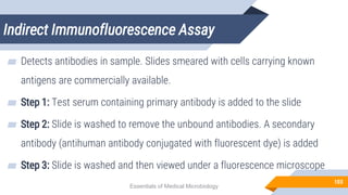 Indirect Immunofluorescence Assay
103
▰ Detects antibodies in sample. Slides smeared with cells carrying known
antigens are commercially available.
▰ Step 1: Test serum containing primary antibody is added to the slide
▰ Step 2: Slide is washed to remove the unbound antibodies. A secondary
antibody (antihuman antibody conjugated with fluorescent dye) is added
▰ Step 3: Slide is washed and then viewed under a fluorescence microscope
Essentials of Medical Microbiology
 