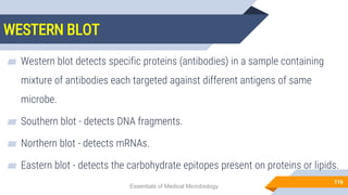 WESTERN BLOT
116
▰ Western blot detects specific proteins (antibodies) in a sample containing
mixture of antibodies each targeted against different antigens of same
microbe.
▰ Southern blot - detects DNA fragments.
▰ Northern blot - detects mRNAs.
▰ Eastern blot - detects the carbohydrate epitopes present on proteins or lipids.
Essentials of Medical Microbiology
 