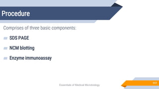 Procedure
117
Comprises of three basic components:
▰ SDS PAGE
▰ NCM blotting
▰ Enzyme immunoassay
Essentials of Medical Microbiology
 