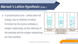 Marrack’s Lattice Hypothesis (Cont..)
17
▰ In prozone/post zone - Lattice does not
enlarge, due to inhibition of lattice
formation by the excess antibody or
antigen respectively, as the valencies of
the antibody and the antigen respectively,
are fully satisfied.
Essentials of Medical Microbiology
 