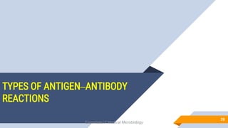 TYPES OF ANTIGEN–ANTIBODY
REACTIONS
20
Essentials of Medical Microbiology
 