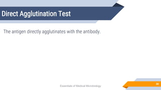 Direct Agglutination Test
30
The antigen directly agglutinates with the antibody.
Essentials of Medical Microbiology
 